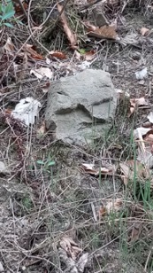 Stein im Feld