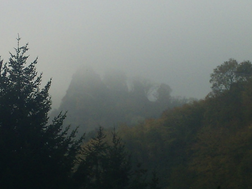 Bild: im Thüringer Wald